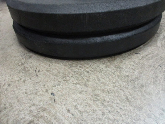 Used Rogue Hi Temp 25LB Bumper Plates (Set Of 2)