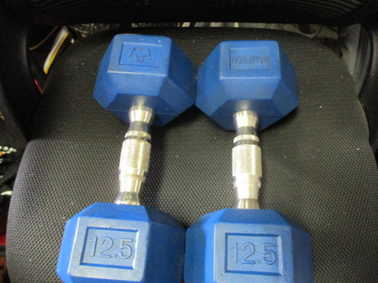 Used Hampton 12.5 LB Dumbbell Set (Set Of 2)