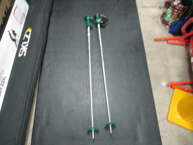 Load image into Gallery viewer, Used Alpine Scott 44&#39;&#39; 110CM Downhill Ski Poles
