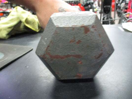 Used Cast Iron 20 LB Dumbbell