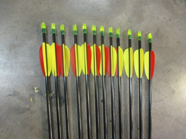 Load image into Gallery viewer, Used 30&quot; Fiberglass Target Arrows Set of 12
