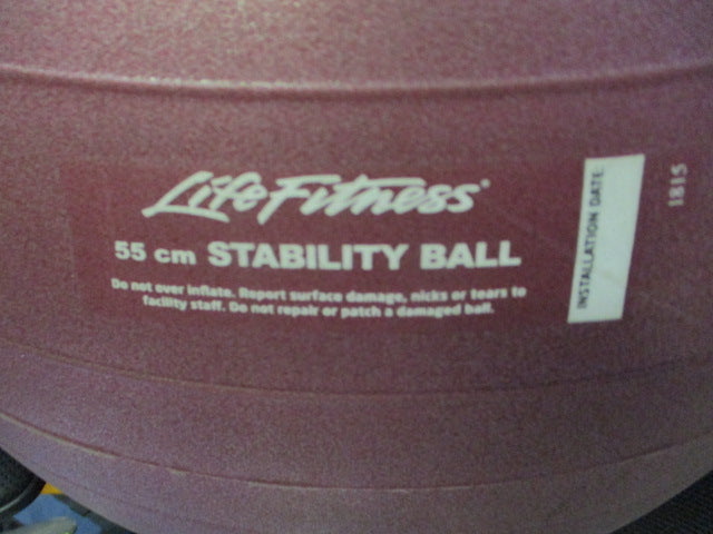 Load image into Gallery viewer, Used Life Fitness 55cm Stability Ball
