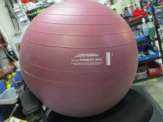 Load image into Gallery viewer, Used Life Fitness 55cm Stability Ball
