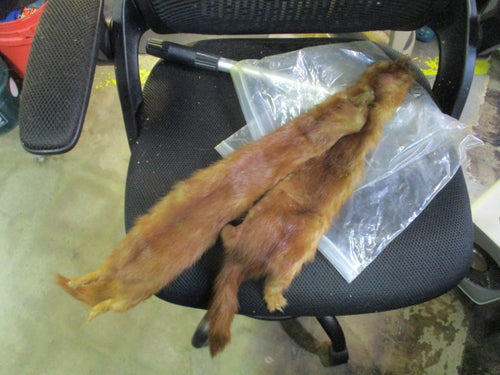 Used Mink Fur Pelts