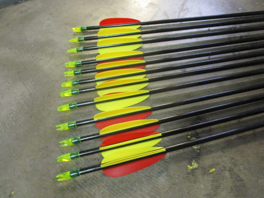 Used 30" Fiberglass Target Arrows Set of 12