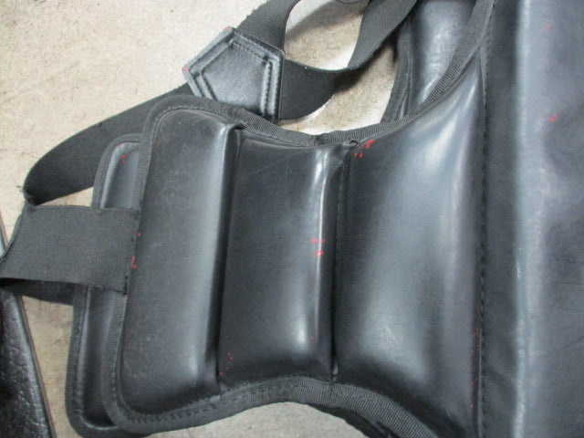 Load image into Gallery viewer, Used ATA Chest Protector Youth Size Large (Has Red Paint Spots)
