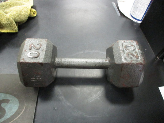 Used Cast Iron 20 LB Dumbbell