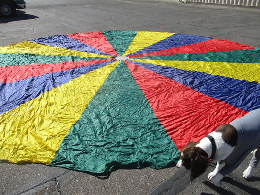 Used Large Parachute with Handles