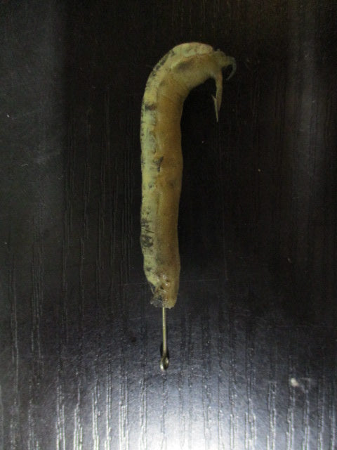 Used Catapillar Baited Hook