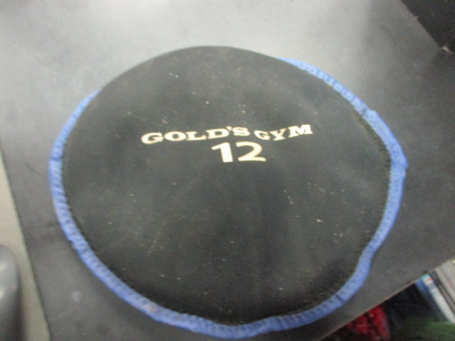 Load image into Gallery viewer, Used Golds Gym 12 LB Weighted Sand Bag Disc
