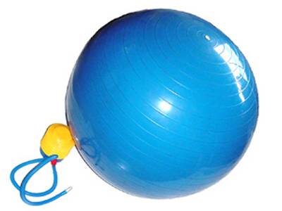 NEW Apollo Athletics 55 CM Exercise Ball