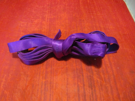 Used Purple Nylon Sling Rope 166 in