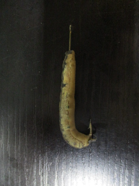 Used Catapillar Baited Hook