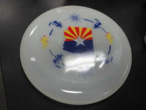 New Funn & Frolic Poster Art Frisbee AZ